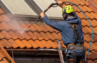 Démoussage et hydrofuge de toiture au Champ-près-Froges
